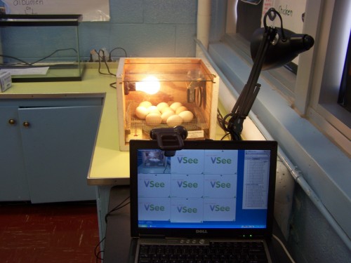 vsee-and-incubator2 width=