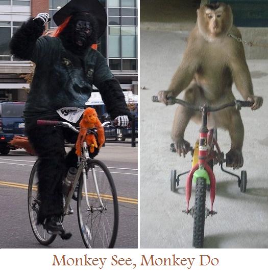 Copyright Sean Buchan monkey see, monkey do