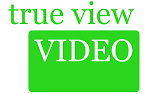 True View Video Conference Consulting